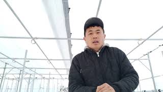 스마트팜 보육사업 지원하기전 보세요