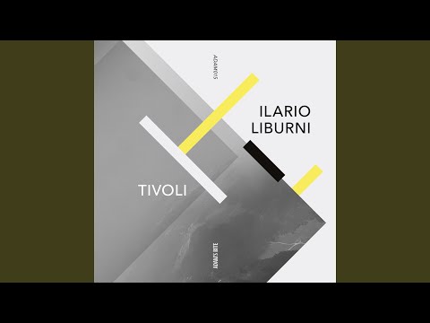 Wonderful Transmission