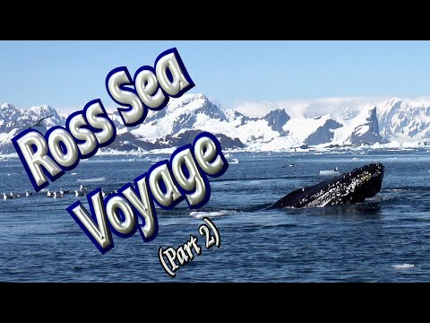 🚢 Voyage to Ross Sea in Deepest Antarctica (Part 2) 🐳