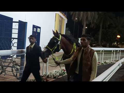 Abu dhabi  equestrain club  horse race 5th  اسپانی گُروھگ  مزن ھور ئِے بُن شھرءَ