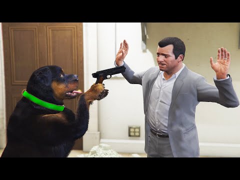 CHOP ROBBING MICHAEL in GTA 5