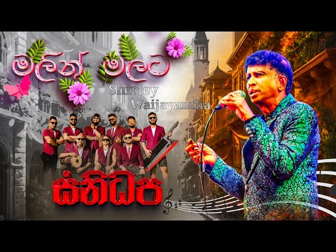 Malin malata ( මලින් මලට ) | Shirley Waijayantha | SANIDHAPA OFFICAL