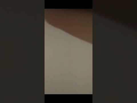 Tuerto gang tuertoking requejo perro viejo