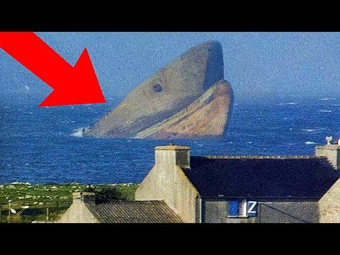 5 Proofs That Megalodon Is Still Alive