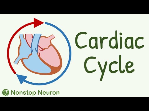 Cardiac Cycle || Systole, Diastole, Blood flow in heart, Movement of Valves