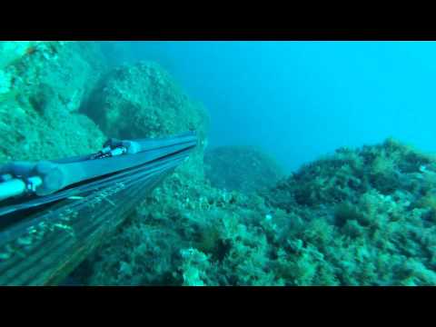 Pesca sub: Salva cappotto