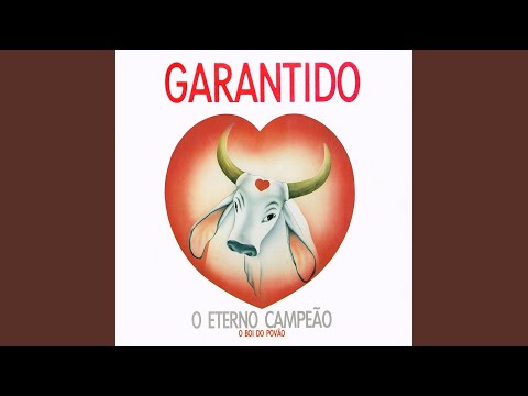 Anunciei Boi Na Cidade video