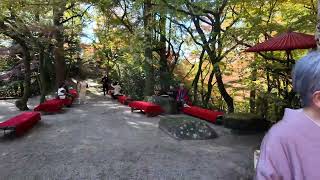 仁比山神社の紅葉2023