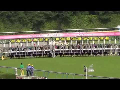 2015 オークス(優駿牝馬) ミッキークイーン JAPANESE OAKS Micky Queen