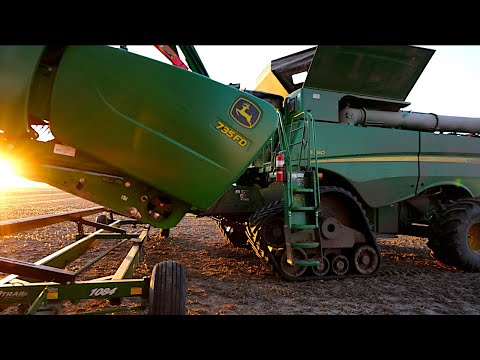 The Combines Are Falling Apart - Mudding Out The Crop To Finish Harvest (Ep.141)