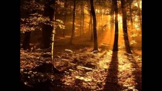 Knives - The Forest Sonnet 2012