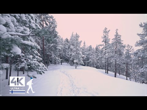 45 minutes of Relaxing Forest Walks in Snow, Finland - Slow TV 4K