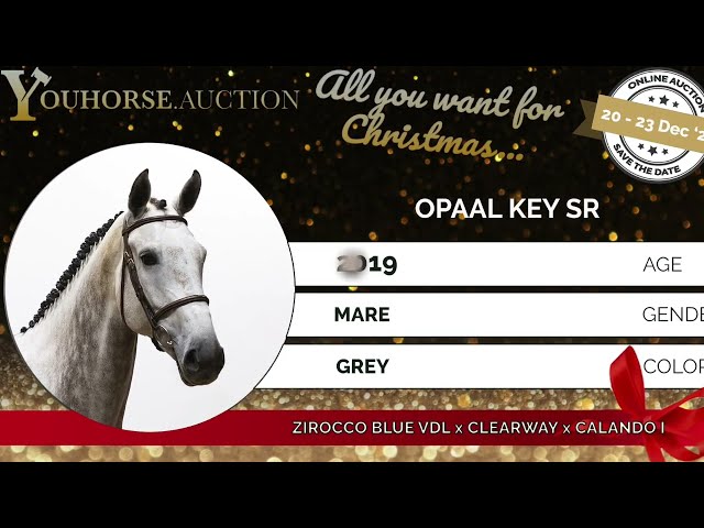 Opaal Key trainingsvideo