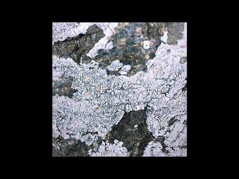 Threeminds Concept - Unknown (Ezaqui Reinterpretation)