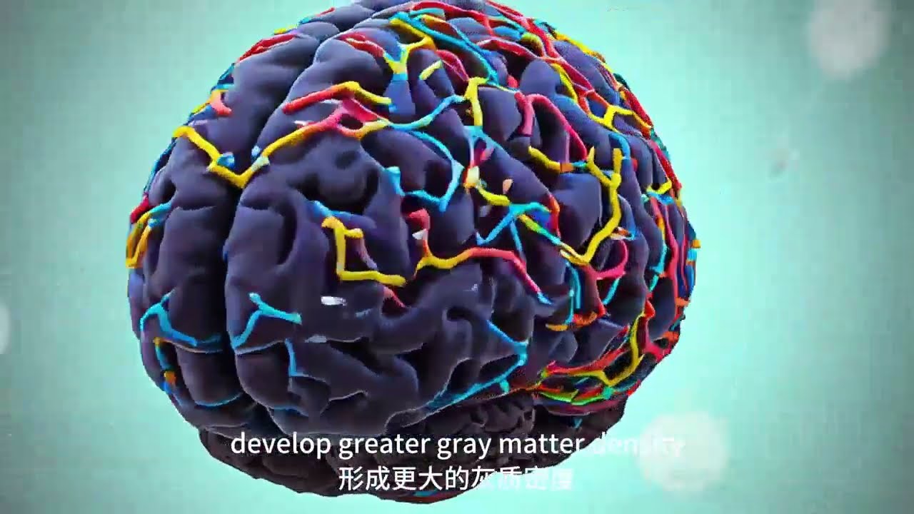 Learning Scene Video