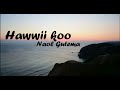 Hawwii Koo Naol Gutema Offical Lyric Video Waan Ofii Studio