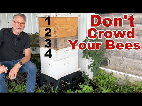 Beekeeping: How To Remove Supers Without Crowding Your Bees