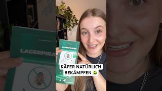 Mit Lagerpiraten einen Käferbefall natürlich bekämpfen 🪲 gegen Speckkäfer, Teppichkäfer & Co.