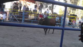 preview picture of video 'Montas de Toros en Lienzo Charro - San Diego de Alejandria 2013'