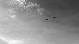 Brieg Guerveno - video officielle - 'vel pa vefemp