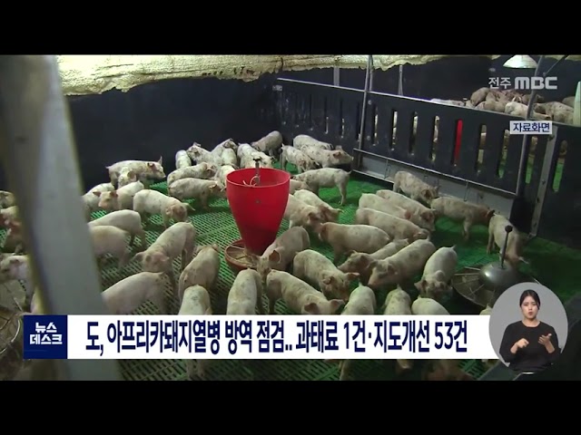 아프피카돼지열병 방역실태 점검