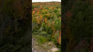 Drone view of the beautiful fall colors in northern Wisconsin