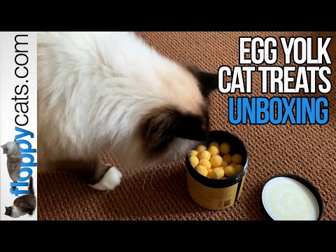These Egg Yolk Cat Treats are Delicious and Fun!