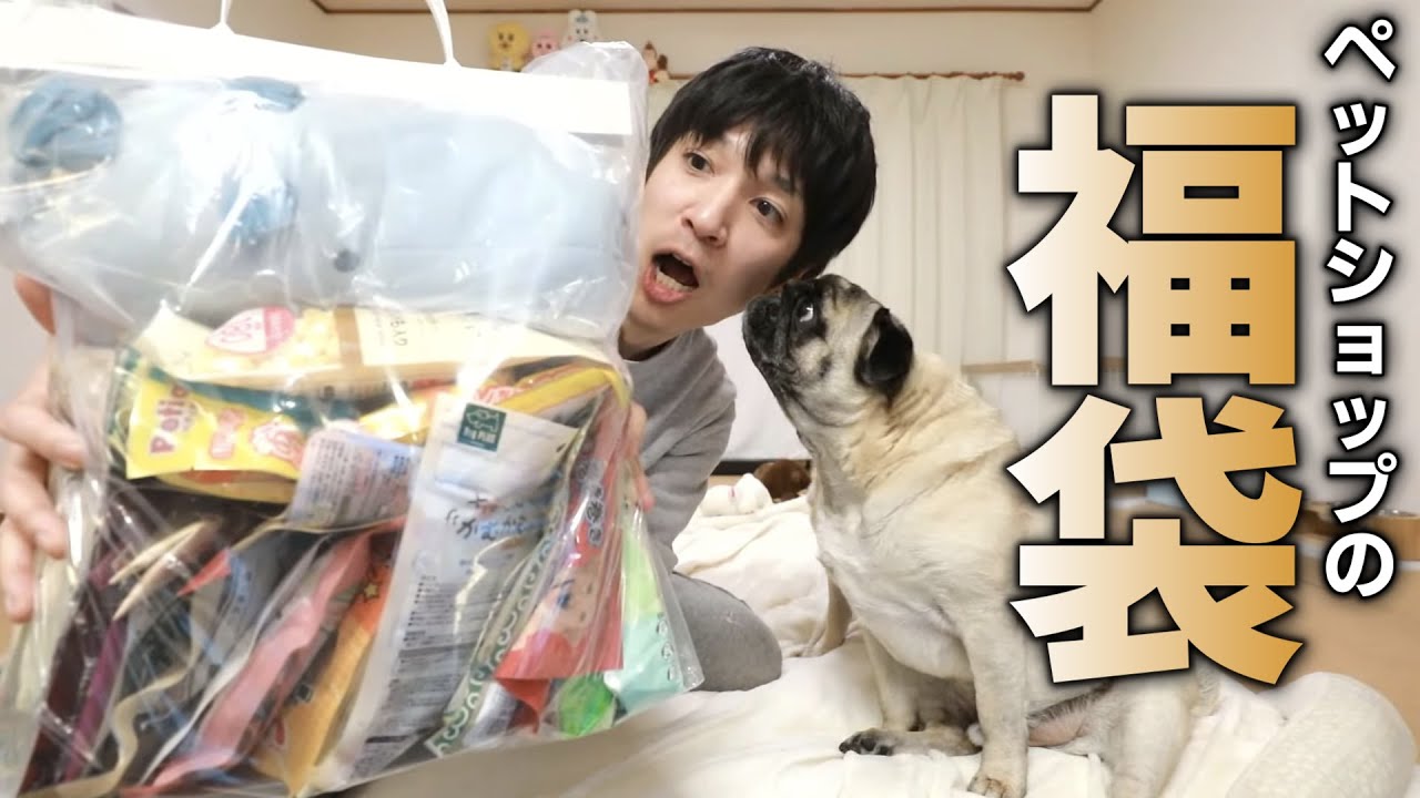 【開封動画】3,300円の犬用福袋を買ったら中身が１万円相当でした！