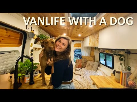 Vanlife With A Dog | (tips and tricks)