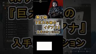 【Crimson Desert 紅の砂漠】乗り物 『巨大な緑のイグアナ』 の入手方法について紹介 #紅の砂漠 #CrimsonDesert #紅の砂漠攻略 #アクションRPG