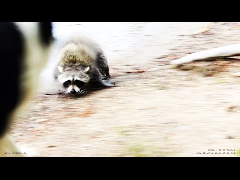 pourquoi la nature nous fait du bien