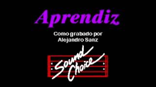 Alejandro Sanz   Aprendiz Unplugged version Karaoke