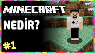 Minecraft Nedir? Minecraft Başlangıç - Minecraf