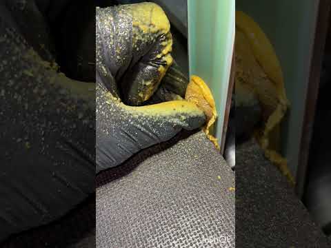 fruits and vegetables vs sander. #oddlysatisfying #destruction #shredder #sanding