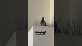 Pegions proving bird spikes are not effective. #birdspikes #interiordost