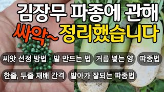 김장무 파종에 관해 싸악~ 정리했습니다. 씨앗 선정 방법. 밭 만드는 법, 거름 넣는 양, 파종법, 한줄, …