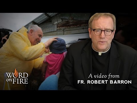 Bishop Barron on Pope Francis and Catholic Social Teaching