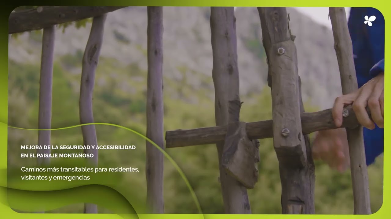 Recuperación conjunta de caminos rurales en la Serra de Tramuntana