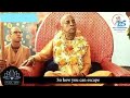 Srila Prabhupada 125th Appearance Anniversary