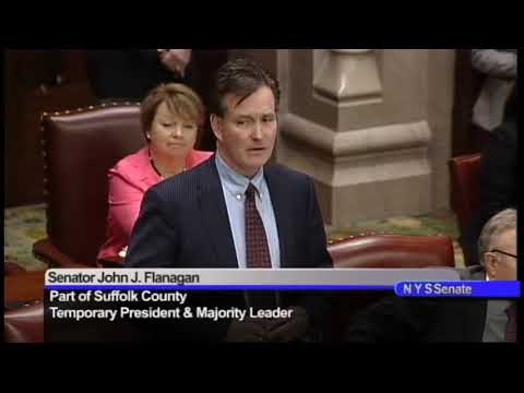 Senator Flanagan honors Cindy Shenker