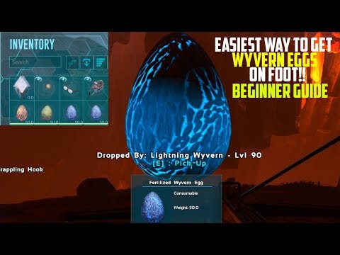 WYVERN EGGS ON FOOT! - SUPER EASY BEGINNER TUTORIAL - ARK Small Tribes Official PVP
