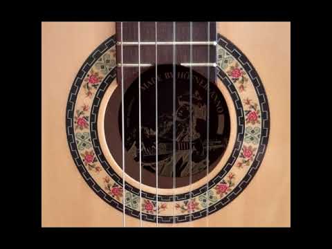 Russian Folksong Two Guitars 俄罗斯民谣 两把吉他
