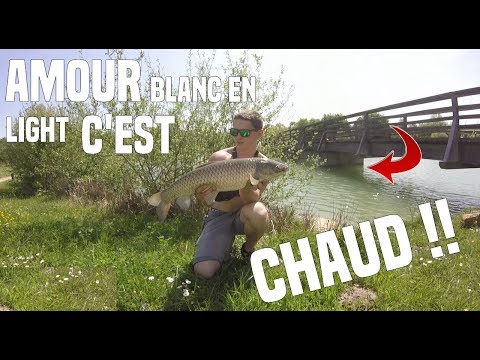 CARPE AU PAIN DU HAUT D'UN PONT // en light c'est chaud !! //