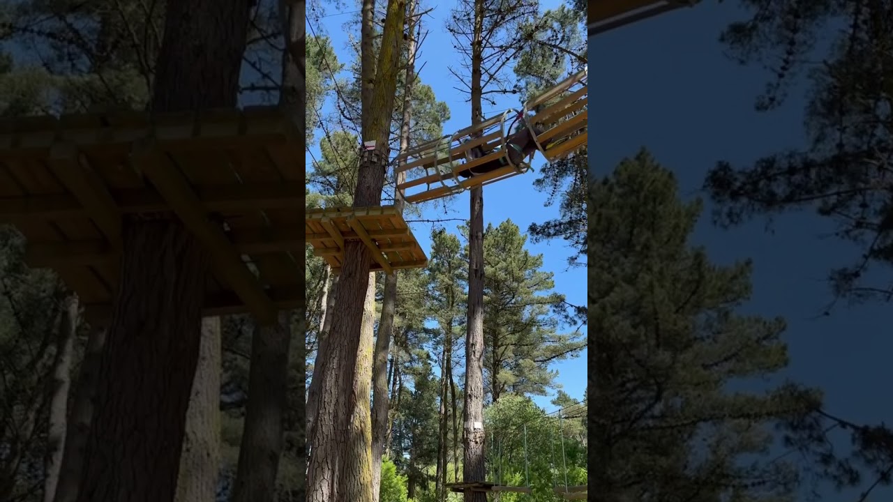 YouTube Short thumbnail