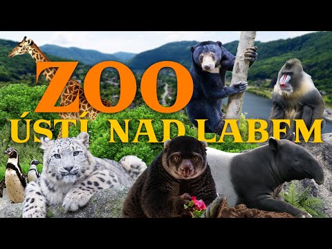 Ústí nad Labem Zoo - dormant potential by the River Elbe | Zoo Review