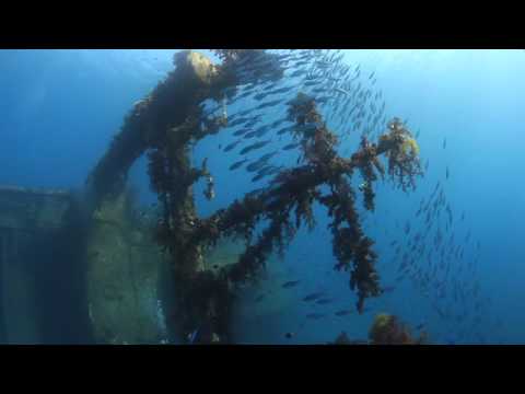 Cedar Pride, Wrack der Cedar Pride,Jordanien