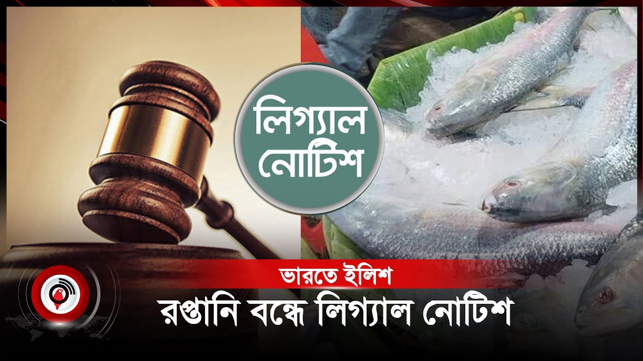 ইলিশ রপ্তানি বন্ধে ব্যবস্থা নিতে লিগ্যাল নোটিশ | hilsa | Legal notice | Jago News