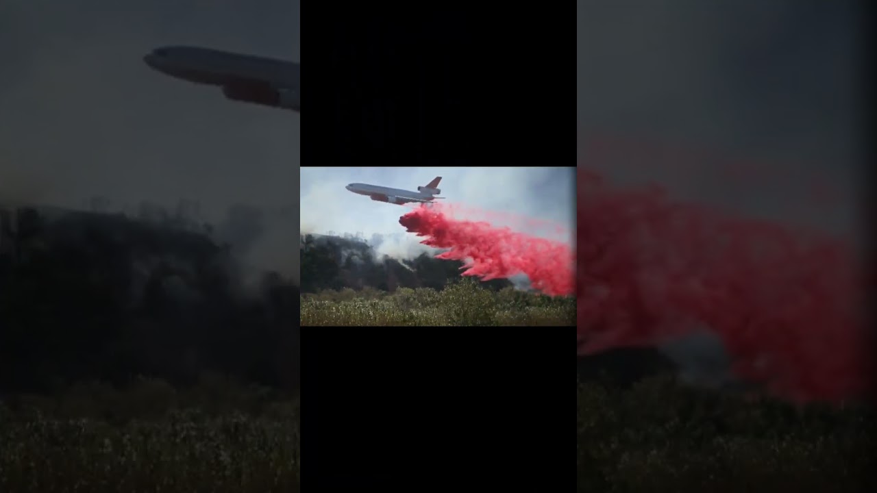 MR KRABS I HAVE AN IDEA 🗣