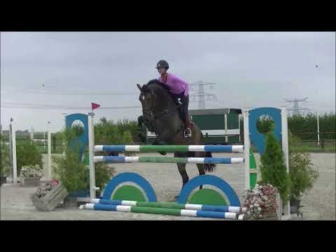 Quasimodo Z x Goodtimes