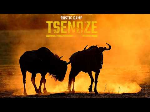 Kruger National Park | Three Nights of Wilderness at Tsendze Rustic Camp